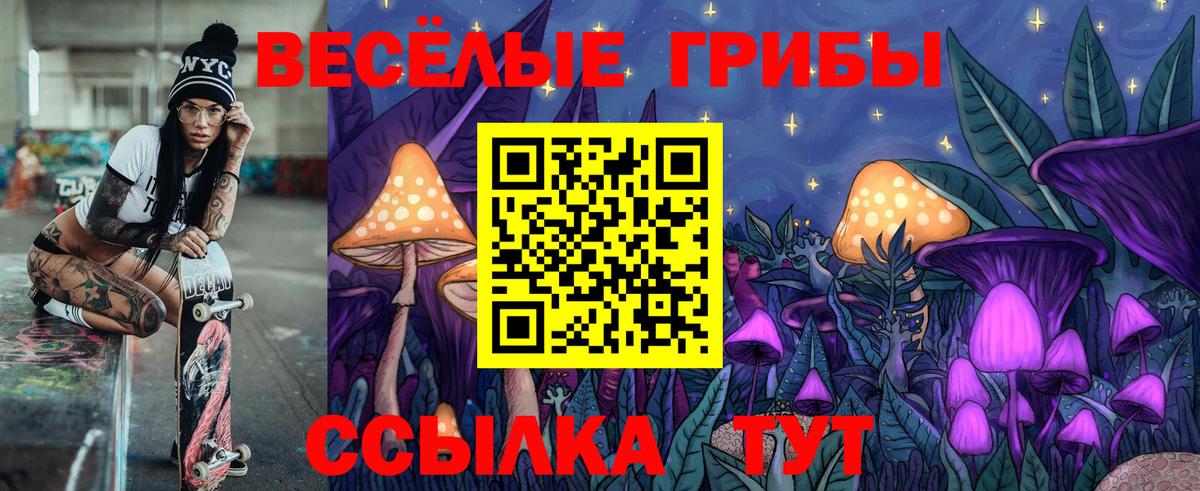 Псилоцибиновые грибы ЛСД Обнинск