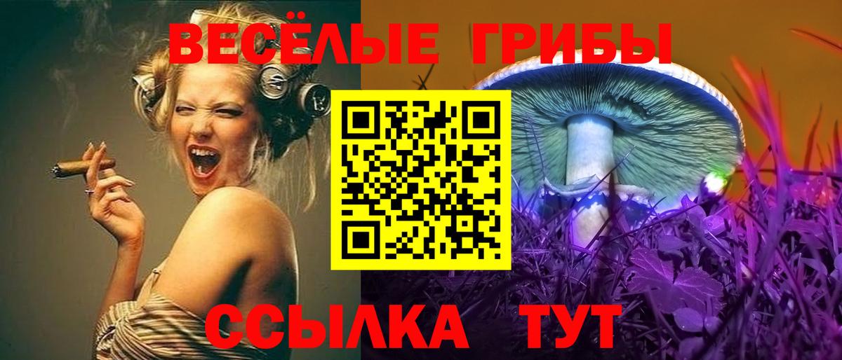 Галлюциногенные грибы мухоморы  Псилоцибиновые грибы прущие грибы  Вход с VPN  Обнинск 